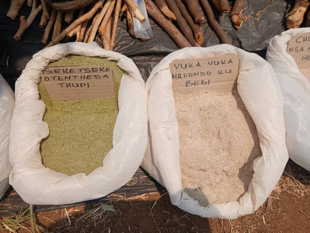 Lhomwe environmental and medicinal knowledge